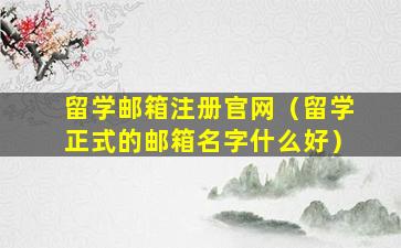 留学邮箱注册官网（留学正式的邮箱名字什么好）