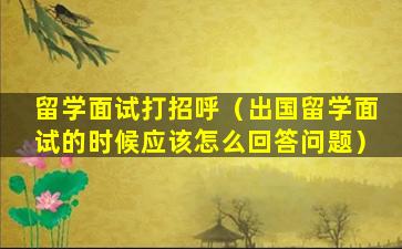 留学面试打招呼（出国留学面试的时候应该怎么回答问题）