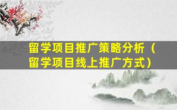 留学项目推广策略分析（留学项目线上推广方式）
