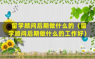留学顾问后期做什么的（留学顾问后期做什么的工作好）