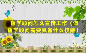 留学顾问怎么宣传工作（做留学顾问需要具备什么技能）