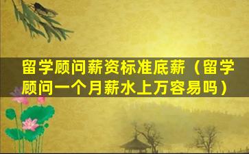 留学顾问薪资标准底薪（留学顾问一个月薪水上万容易吗）