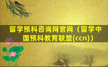 留学预科咨询网官网（留学中国预科教育联盟(ccn)）