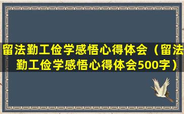 留法勤工俭学感悟心得体会（留法勤工俭学感悟心得体会500字）