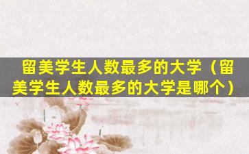 留美学生人数最多的大学（留美学生人数最多的大学是哪个）