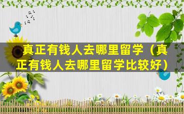 真正有钱人去哪里留学（真正有钱人去哪里留学比较好）