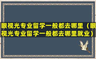 眼视光专业留学一般都去哪里（眼视光专业留学一般都去哪里就业）