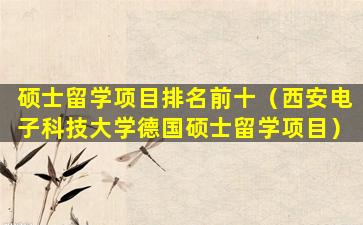 硕士留学项目排名前十（西安电子科技大学德国硕士留学项目）