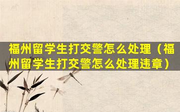 福州留学生打交警怎么处理（福州留学生打交警怎么处理违章）