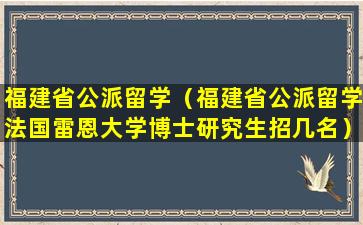 福建省公派留学（福建省公派留学法国雷恩大学博士研究生招几名）