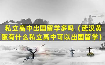 私立高中出国留学多吗（武汉黄陂有什么私立高中可以出国留学）