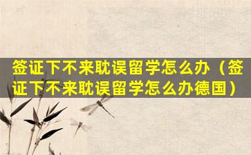 签证下不来耽误留学怎么办（签证下不来耽误留学怎么办德国）