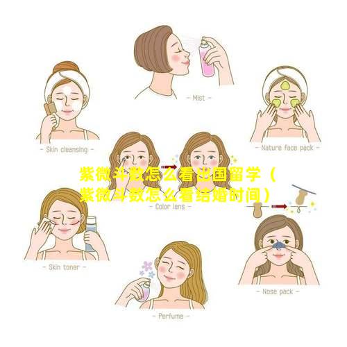 紫微斗数怎么看出国留学（紫微斗数怎么看结婚时间）