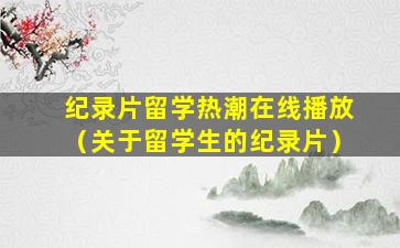 纪录片留学热潮在线播放（关于留学生的纪录片）