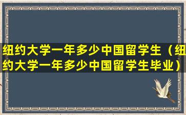 纽约大学一年多少中国留学生（纽约大学一年多少中国留学生毕业）
