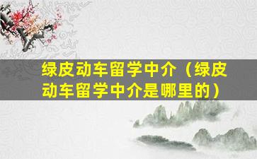 绿皮动车留学中介（绿皮动车留学中介是哪里的）