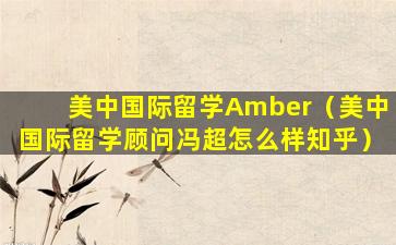 美中国际留学Amber（美中国际留学顾问冯超怎么样知乎）