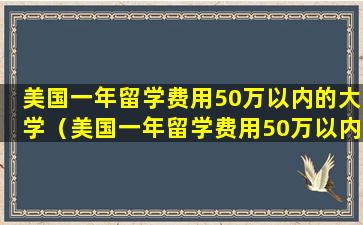 美国一年留学费用50万以内的大学（美国一年留学费用50万以内的大学有哪些）