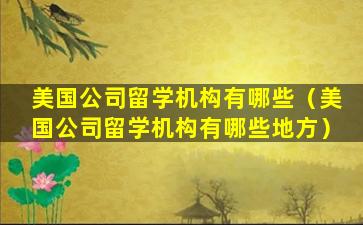 美国公司留学机构有哪些（美国公司留学机构有哪些地方）