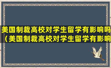 美国制裁高校对学生留学有影响吗（美国制裁高校对学生留学有影响吗视频）