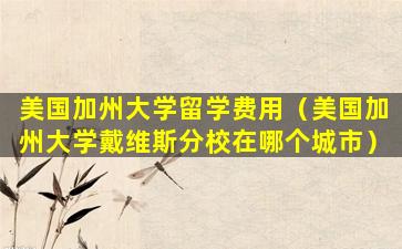 美国加州大学留学费用（美国加州大学戴维斯分校在哪个城市）