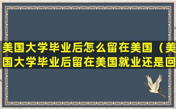 美国大学毕业后怎么留在美国（美国大学毕业后留在美国就业还是回国）