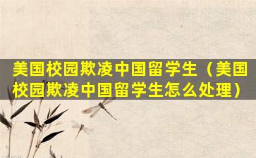 美国校园欺凌中国留学生（美国校园欺凌中国留学生怎么处理）