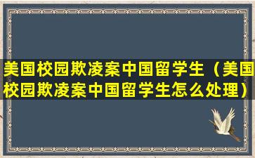 美国校园欺凌案中国留学生（美国校园欺凌案中国留学生怎么处理）