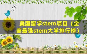 美国留学stem项目（全美最强stem大学排行榜）