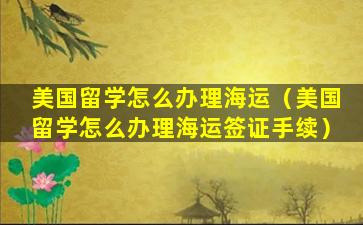 美国留学怎么办理海运（美国留学怎么办理海运签证手续）