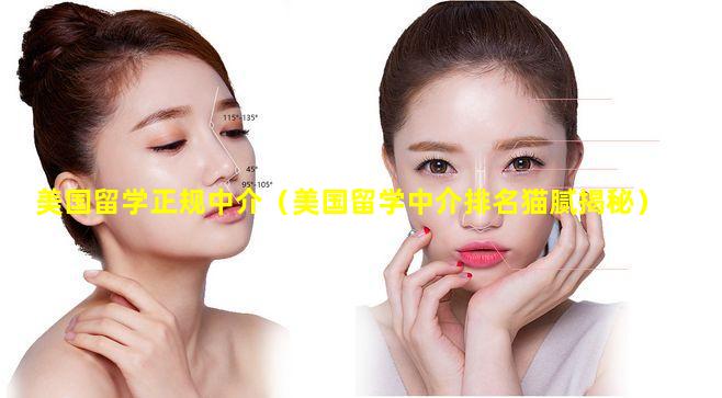 美国留学正规中介（美国留学中介排名猫腻揭秘）
