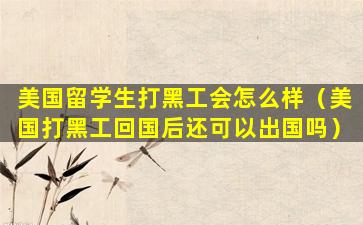美国留学生打黑工会怎么样（美国打黑工回国后还可以出国吗）