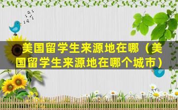 美国留学生来源地在哪（美国留学生来源地在哪个城市）
