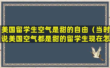 美国留学生空气是甜的自由（当时说美国空气都是甜的留学生现在怎么样了）