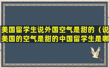 美国留学生说外国空气是甜的（说美国的空气是甜的中国留学生是哪个大学）