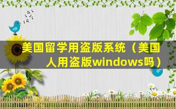 美国留学用盗版系统（美国人用盗版windows吗）