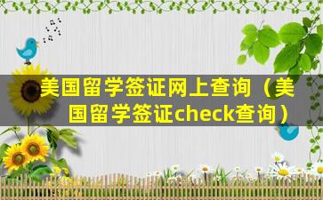 美国留学签证网上查询（美国留学签证check查询）