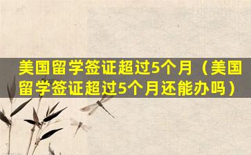 美国留学签证超过5个月（美国留学签证超过5个月还能办吗）