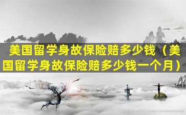 美国留学身故保险赔多少钱（美国留学身故保险赔多少钱一个月）
