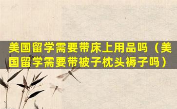 美国留学需要带床上用品吗（美国留学需要带被子枕头褥子吗）
