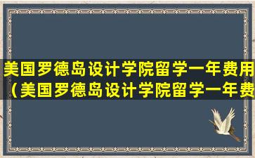 美国罗德岛设计学院留学一年费用（美国罗德岛设计学院留学一年费用大概多少）