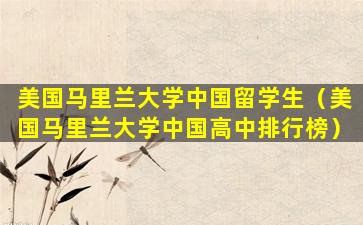美国马里兰大学中国留学生（美国马里兰大学中国高中排行榜）