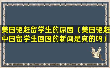 美国驱赶留学生的原因（美国驱赶中国留学生回国的新闻是真的吗）