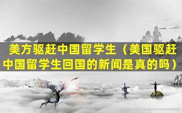 美方驱赶中国留学生（美国驱赶中国留学生回国的新闻是真的吗）