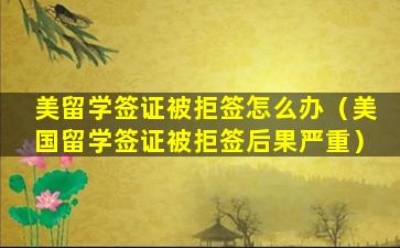 美留学签证被拒签怎么办（美国留学签证被拒签后果严重）
