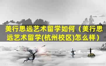 美行思远艺术留学如何（美行思远艺术留学(杭州校区)怎么样）