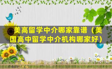 美高留学中介哪家靠谱（美国高中留学中介机构哪家好）