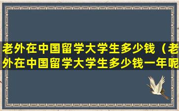 老外在中国留学大学生多少钱（老外在中国留学大学生多少钱一年呢）