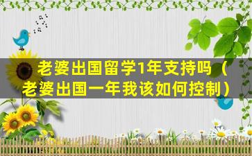 老婆出国留学1年支持吗（老婆出国一年我该如何控制）