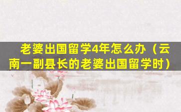 老婆出国留学4年怎么办（云南一副县长的老婆出国留学时）